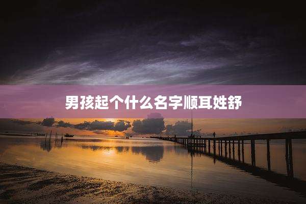 男孩起个什么名字顺耳姓舒