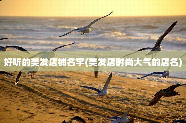 好听的美发店铺名字(美发店时尚大气的店名)