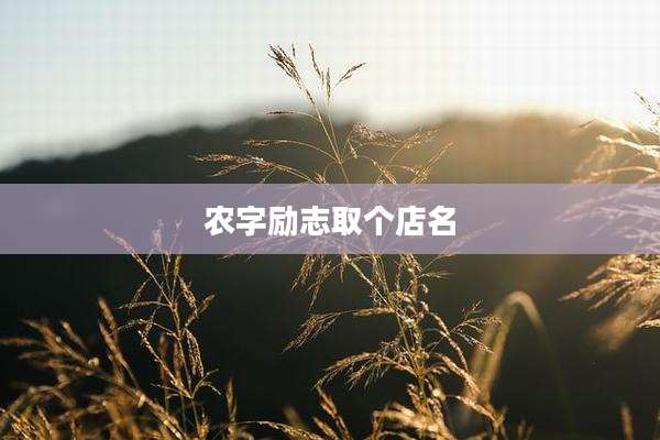 农字励志取个店名