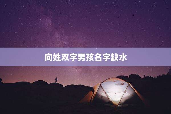 向姓双字男孩名字缺水