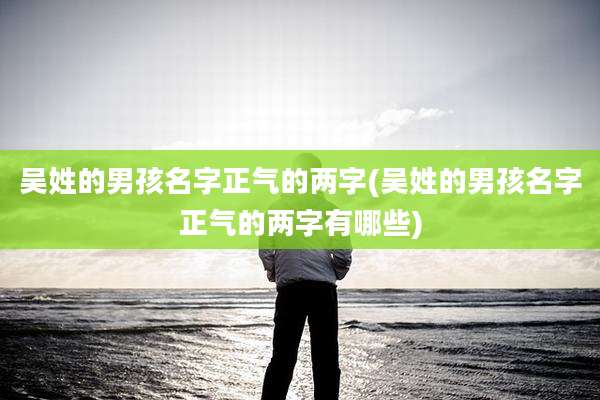 吴姓的男孩名字正气的两字(吴姓的男孩名字正气的两字有哪些)