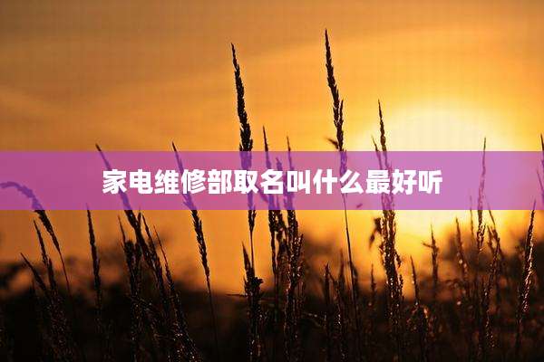家电维修部取名叫什么最好听