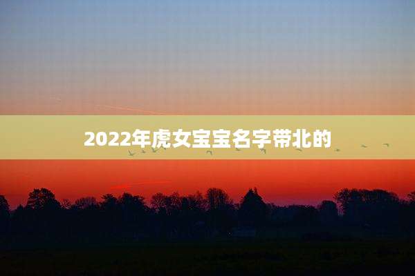 2022年虎女宝宝名字带北的