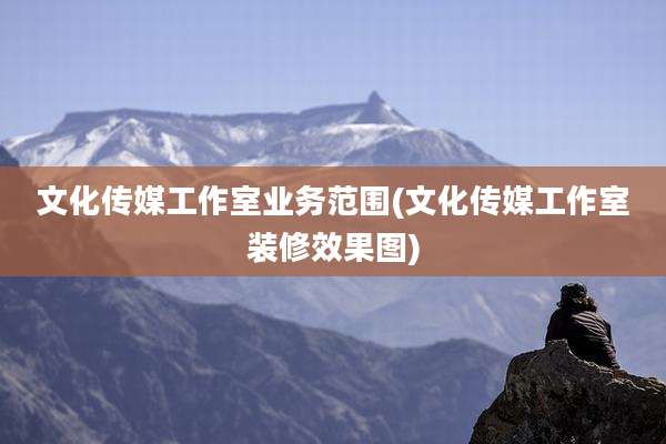 文化传媒工作室业务范围(文化传媒工作室装修效果图)