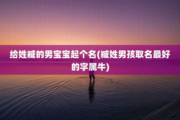 给姓臧的男宝宝起个名(臧姓男孩取名最好的字属牛)