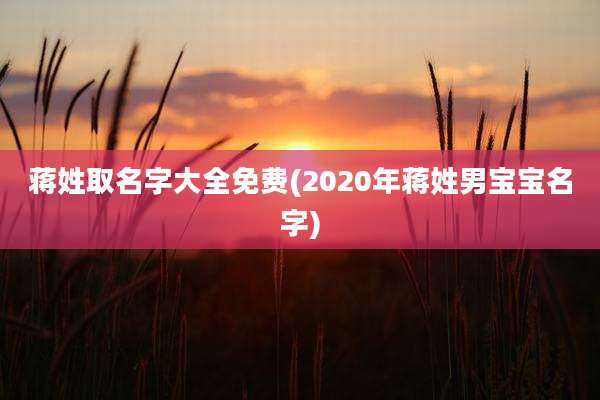蒋姓取名字大全免费(2020年蒋姓男宝宝名字)