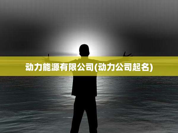 动力能源有限公司(动力公司起名)