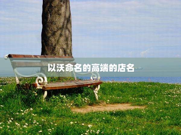 以沃命名的高端的店名