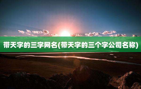 带天字的三字网名(带天字的三个字公司名称)