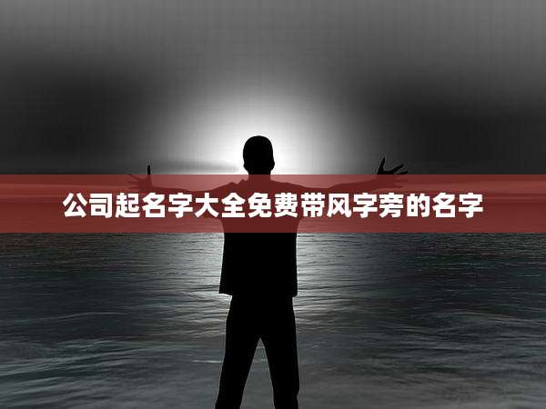 公司起名字大全免费带风字旁的名字
