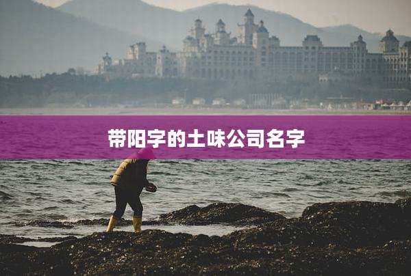 带阳字的土味公司名字