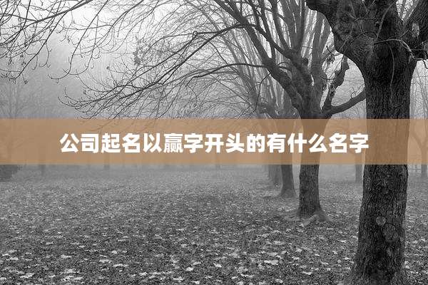 公司起名以赢字开头的有什么名字