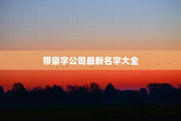 带豪字公司最新名字大全