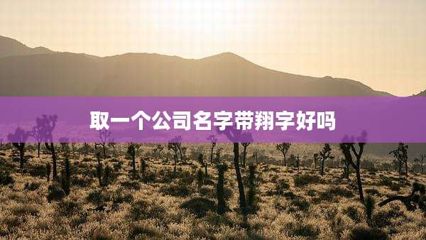 取一个公司名字带翔字好吗