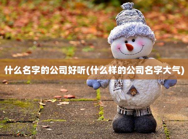 什么名字的公司好听(什么样的公司名字大气)