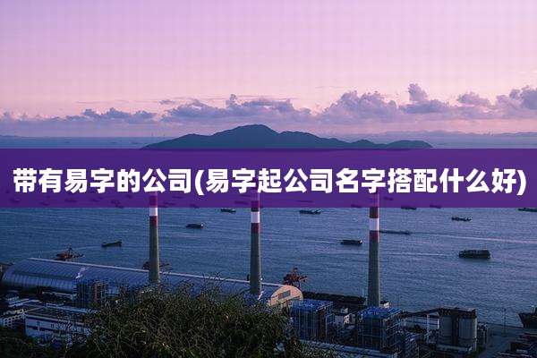 带有易字的公司(易字起公司名字搭配什么好)