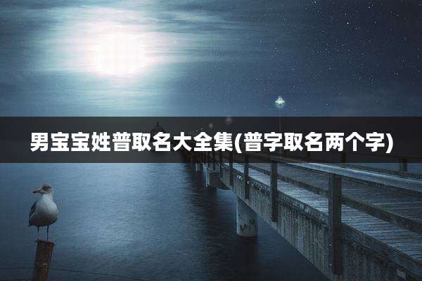 男宝宝姓普取名大全集(普字取名两个字)
