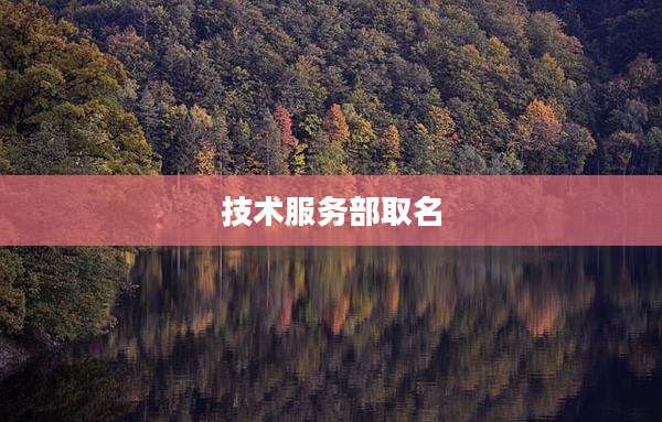 技术服务部取名