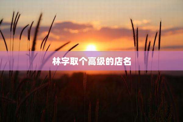 林字取个高级的店名