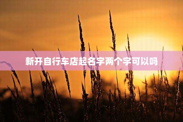 新开自行车店起名字两个字可以吗