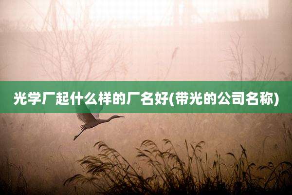 光学厂起什么样的厂名好(带光的公司名称)