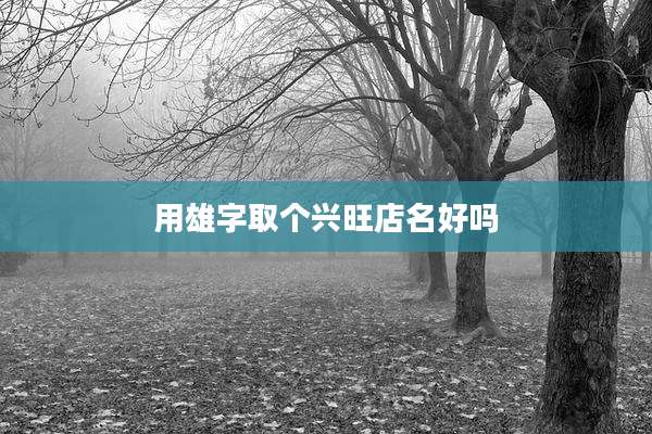 用雄字取个兴旺店名好吗