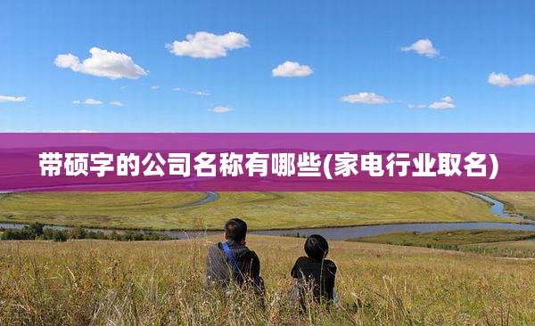带硕字的公司名称有哪些(家电行业取名)