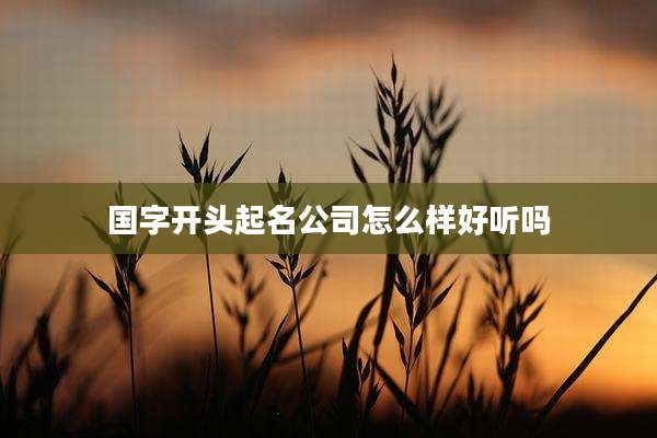 国字开头起名公司怎么样好听吗