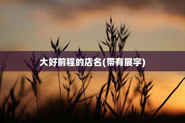 大好前程的店名(带有展字)
