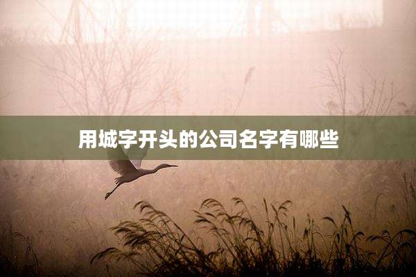 用城字开头的公司名字有哪些