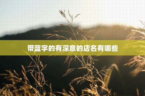 带蓝字的有深意的店名有哪些