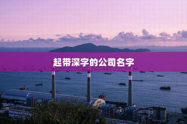 起带深字的公司名字
