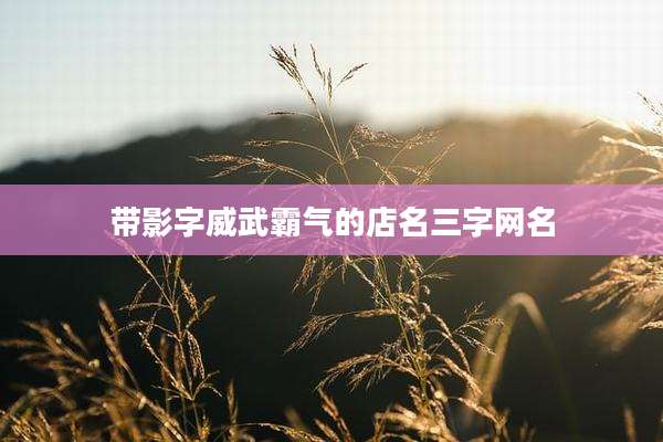带影字威武霸气的店名三字网名