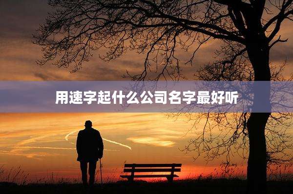 用速字起什么公司名字最好听