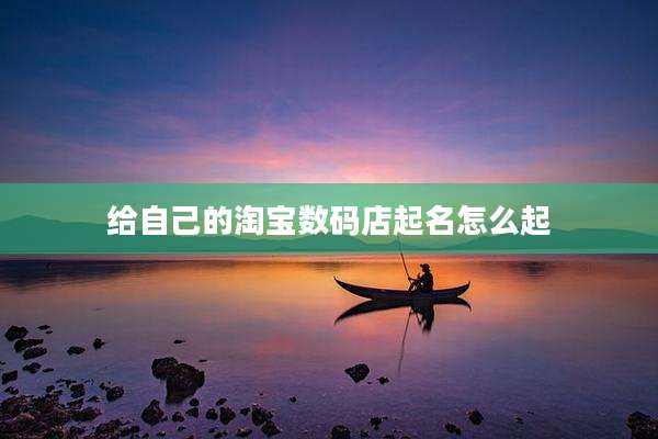 给自己的淘宝数码店起名怎么起