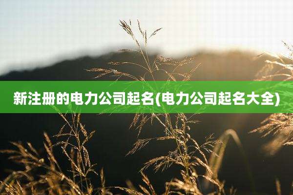 新注册的电力公司起名(电力公司起名大全)