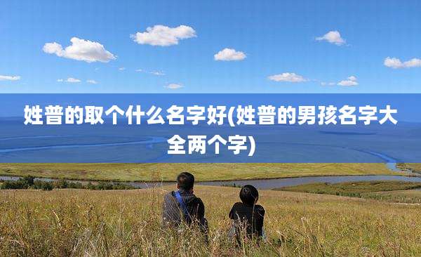 姓普的取个什么名字好(姓普的男孩名字大全两个字)