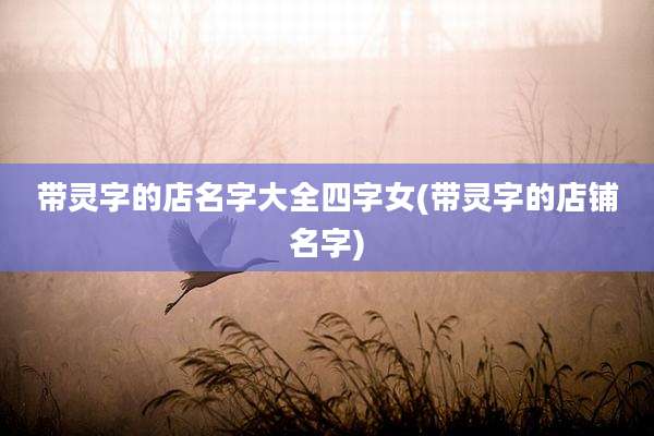 带灵字的店名字大全四字女(带灵字的店铺名字)