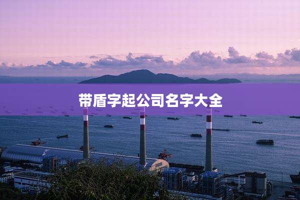 带盾字起公司名字大全