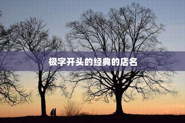 极字开头的经典的店名