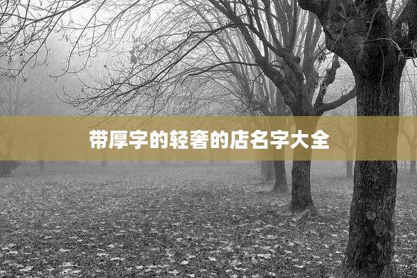 带厚字的轻奢的店名字大全