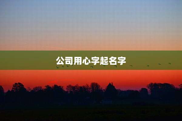 公司用心字起名字