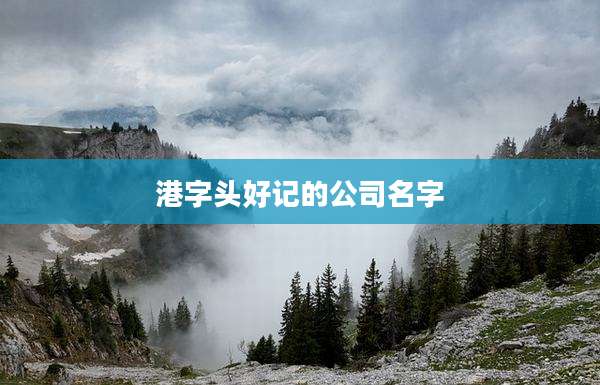 港字头好记的公司名字