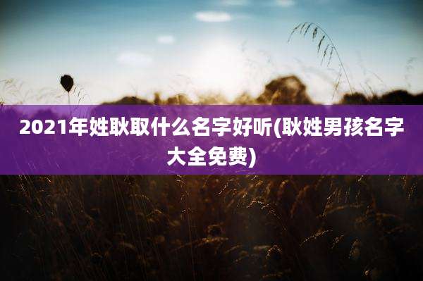 2021年姓耿取什么名字好听(耿姓男孩名字大全免费)
