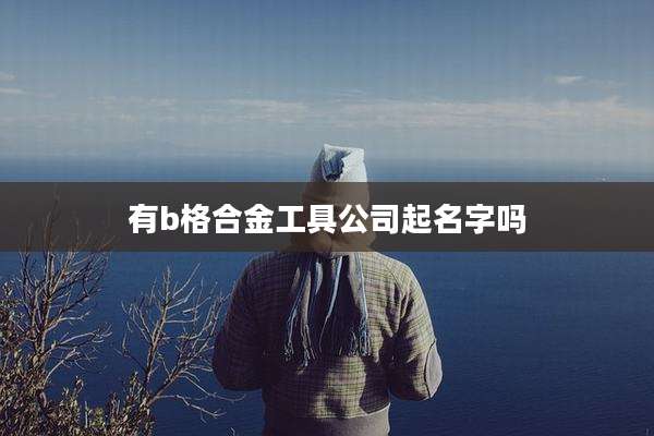 有b格合金工具公司起名字吗