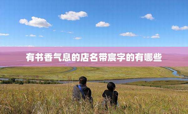 有书香气息的店名带宸字的有哪些