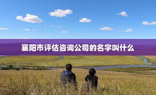 襄阳市评估咨询公司的名字叫什么