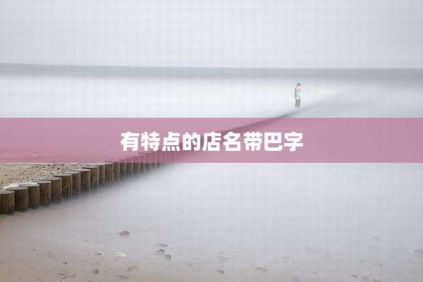 有特点的店名带巴字