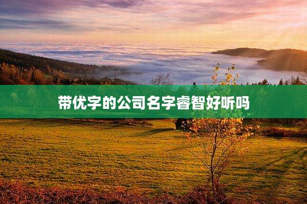 带优字的公司名字睿智好听吗