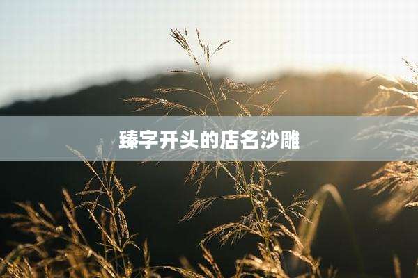 臻字开头的店名沙雕